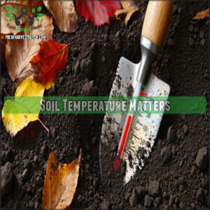 Soil Temperature Matters