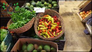 Solidarity Market Bonpland