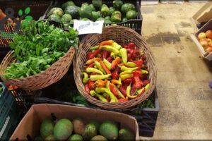 Solidarity Market Bonpland