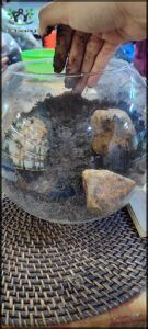 someone is holding a glass bowl with rocks in it