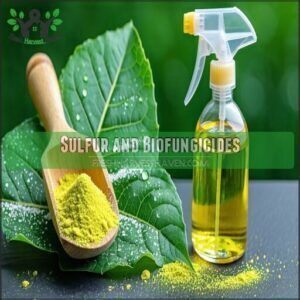 Sulfur and Biofungicides