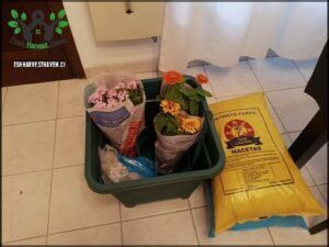 there are many bags of flowers in a green container
