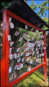 there are many cards attached to a tree in a park