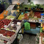 there are many different types of fruits and vegetables in the store