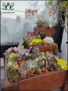 there are many different types of plants in the planter