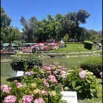 there are many flowers in the park and a pond