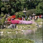there are many people walking around a pond in a park