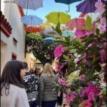 there are many people walking down the street with umbrellas overhead