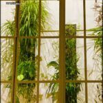 there are many plants growing in the windows of this building