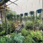 there are many plants in the garden on the patio