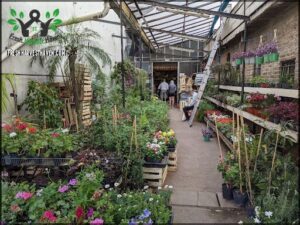 there are many plants in the greenhouse and people are walking by