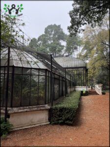 there are many plants in the greenhouses on the dirt