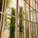 there are many plants in the window of this building
