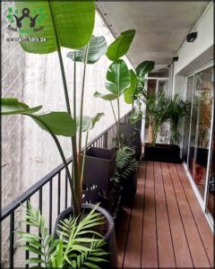 there are many plants on the balcony of a building