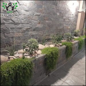 there are many plants that are growing in the stone planters