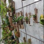 there are many plants that are hanging on the wall