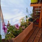 there are many potted plants on a wooden shelf on the porch