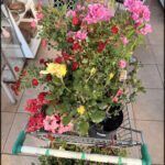 there is a cart with a bunch of flowers on it