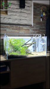 there is a fish tank with plants in it on a table
