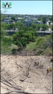 there is a giraffe standing on a hill with a city in the background