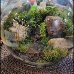 there is a glass bowl with moss and rocks inside of it