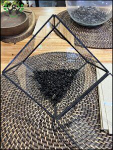 there is a glass box with a pile of black seed inside