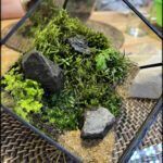 there is a glass box with moss and rocks inside of it