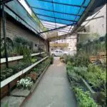 there is a long walkway with lots of plants and flowers