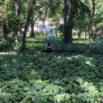 there is a man sitting on a bench in the middle of a forest