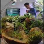 there is a man taking a picture of a terrarium with plants
