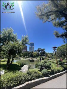 there is a park with a pond and a few trees