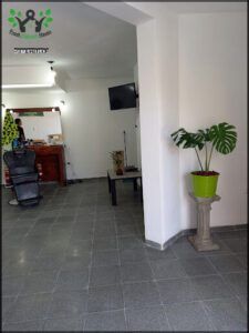 there is a plant in a pot in the middle of a room