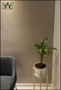 there is a plant in a pot on a stand next to a chair