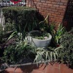 there is a planter with plants in it on the sidewalk