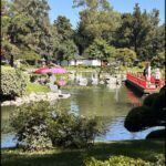there is a red bridge over a pond in a park