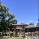 there is a red gate in the middle of a pond