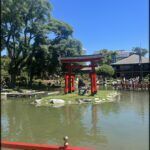 there is a red gate in the middle of a pond