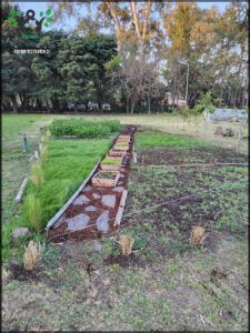 there is a small garden with a stone path in the middle