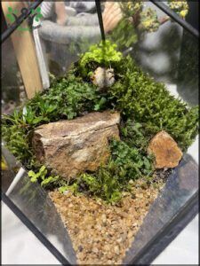 there is a small glass box with a mossy plant inside