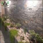 there is a stone wall with plants growing in it