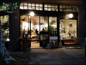 there is a store front with a bench and a tree in the front