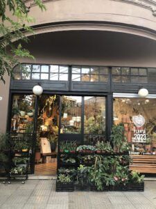 there is a store front with a bench and plants in the window