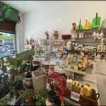 there is a store with a lot of plants and other things on the shelves