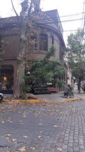 there is a street with a tree and a building on the side