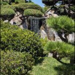 there is a waterfall in the middle of a garden with trees
