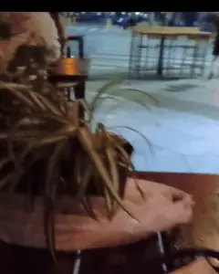 there is a woman sitting at a table with a glass of wine