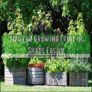 tips for growing fruit in shade