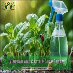 Vinegar and Castile Soap Spray