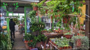 Vivero AllGreen