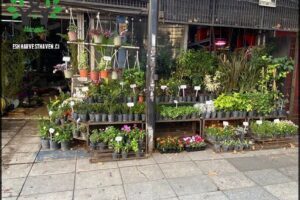 Vivero del Bosque